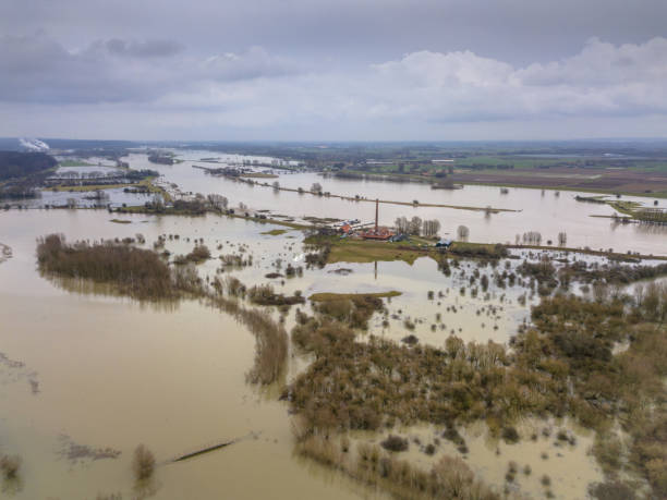 istock Flooded river landscape in winter 1125471003