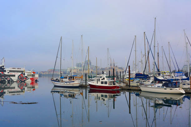 Victoria, British Columbia - October 20, 2018: Sailboats and tour boats moored at the Victoria Inner Harbor, with city of Vitoria visible in background.