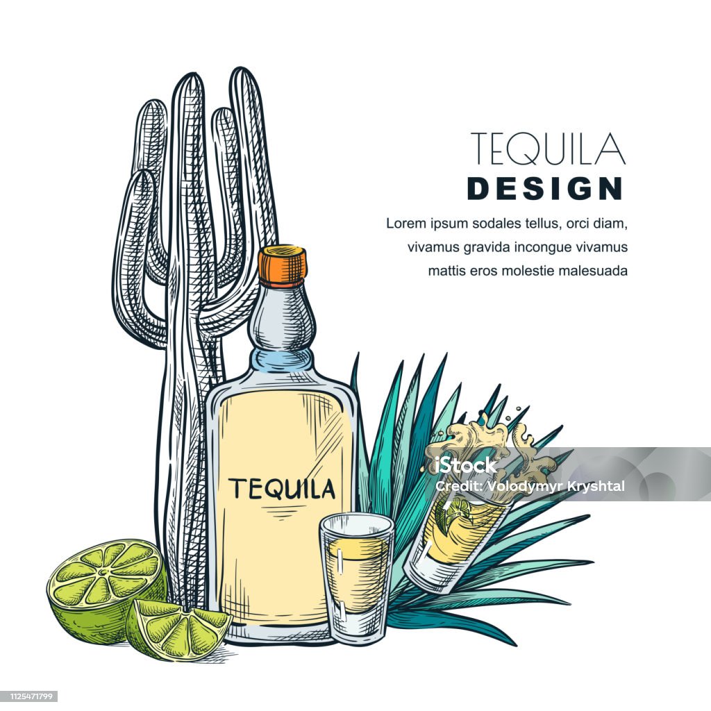 Ilustración de Ilustración De Vector De Dibujo De Tequila Barra De Menú  Diseño De Etiqueta O Paquete y más Vectores Libres de Derechos de Tequila -  Licores de alta graduación - iStock