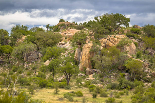 istock Rocky outcrop or koppie Afsaal area 1125471817