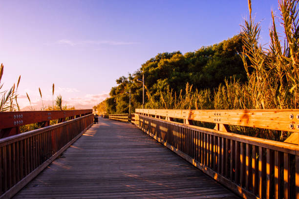 istock Promenade 