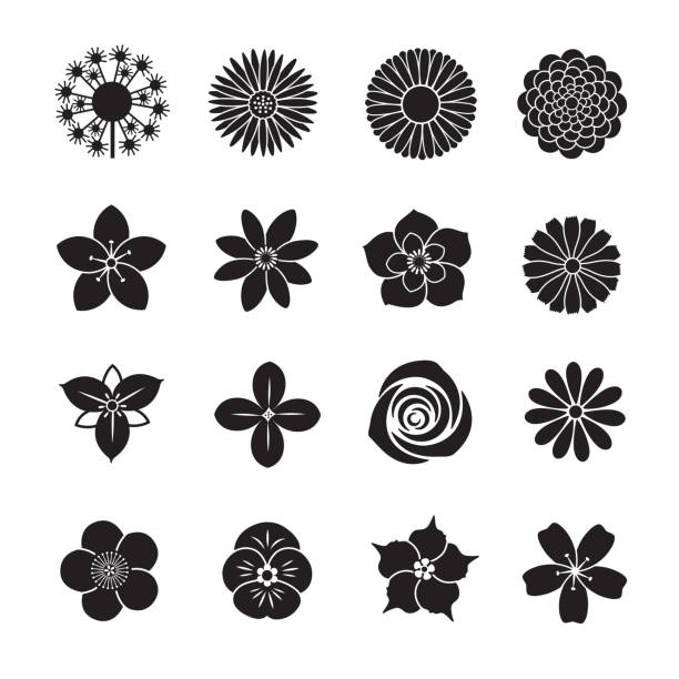 illustrations, cliparts, dessins animés et icônes de collection d’icônes de fleur - dahlia