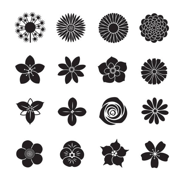 Flower icon collection Flower icon collection, Set of 16 editable filled, Simple clearly defined shapes in one color. pansy stock illustrations