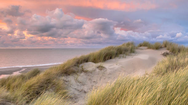 istock View from dune on North Sea 1125477319