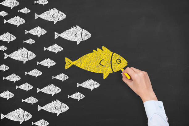 istock Leadership Concepts with Fish on Chalkboard Background 1125482318