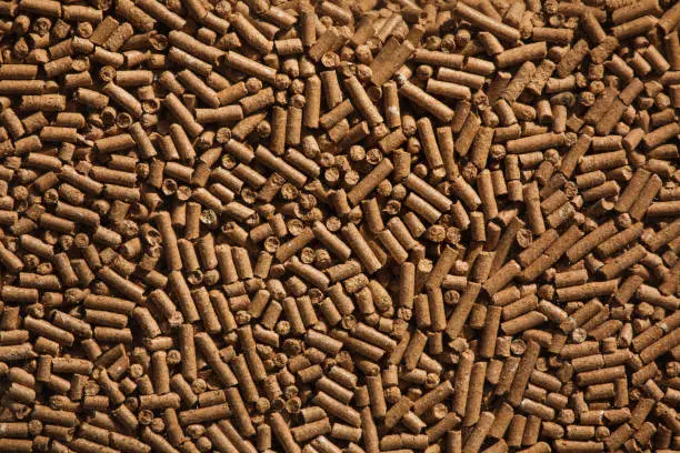 Photo of Animal food pellets. Background texture