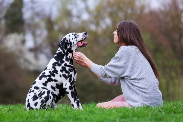 istock young woman with Dalmatian dog 1125486543