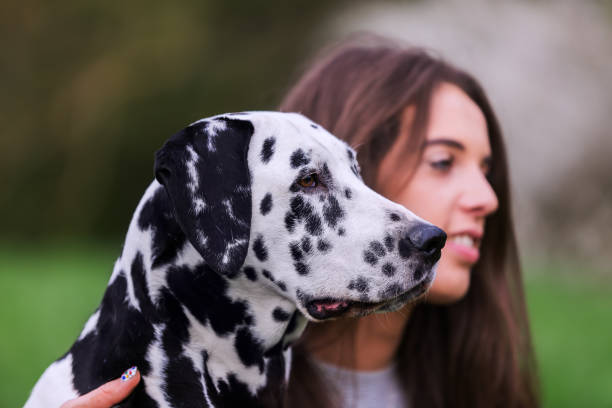 istock young woman with Dalmatian dog 1125486587