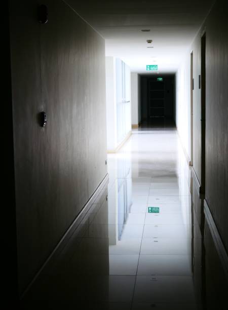 istock Hallway of apartment building 1125487023