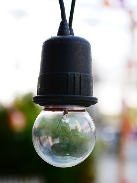 istock Decorative string lights hanging on tree in the garden 1125487361