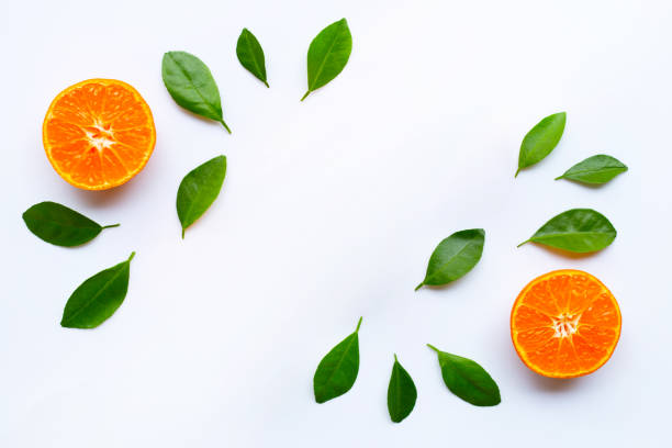 istock Fresh orange citrus fruit with green leaves on white. 1125489441