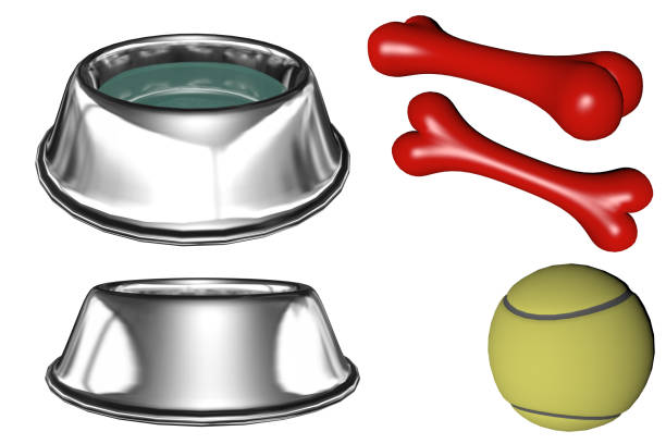 istock Set of dog accessories isolated on white, 3d render. 1125493676