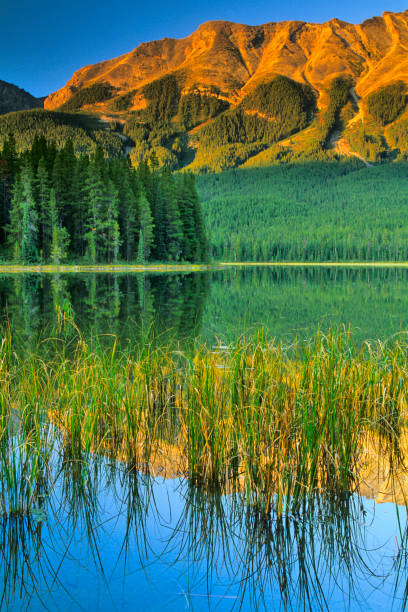 istock Jasper National Park in Alberta Canada 1125500054