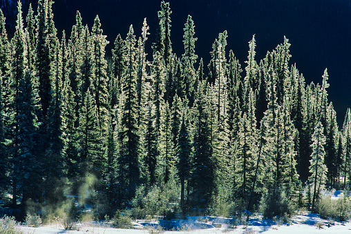 Winter in Jasper National Park, Canada