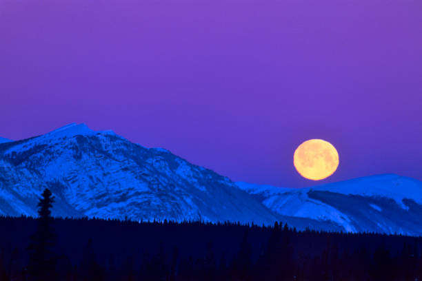 istock Jasper National Park in Alberta Canada 1125503517
