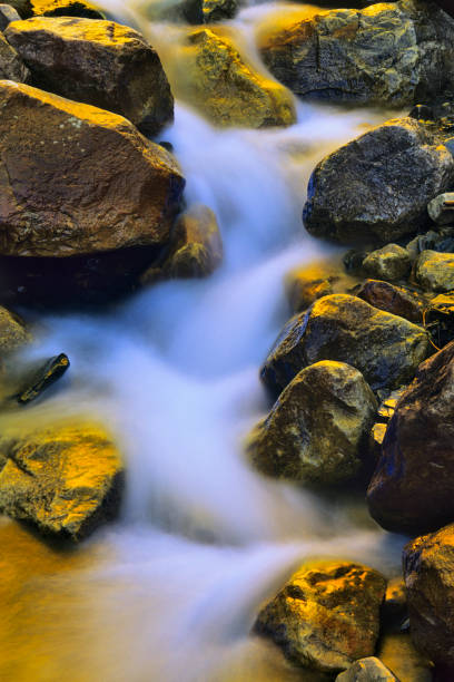 istock Jasper National Park in Alberta Canada 1125504108