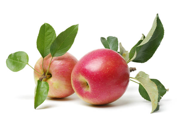 istock Apple, isolated leaves on white background 1125504264
