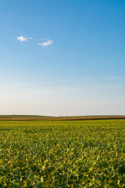 istock Illinois countryside 1125504406