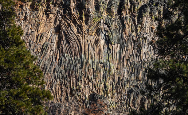 Basalt pipe organ rock formation, Yakima, Washington State