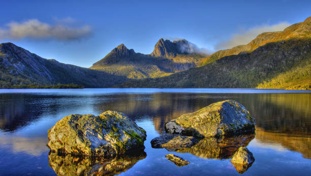 cradle mountain, güvercin gölü, tazmanya, avustralya - tazmanya stok fotoğraflar ve resimler