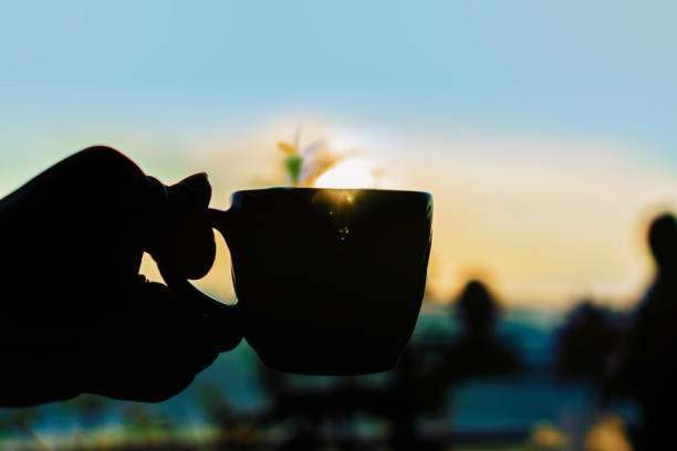 Coffee Cup, Cup, Dusk, Light - Natural Phenomenon, Shadow