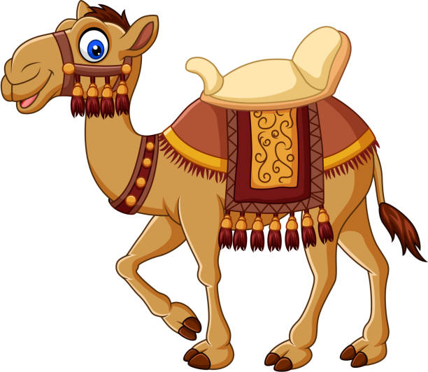 Cartoon funny camel with saddlery Vector illustration of Cartoon funny camel with saddlery dromedary camel stock illustrations