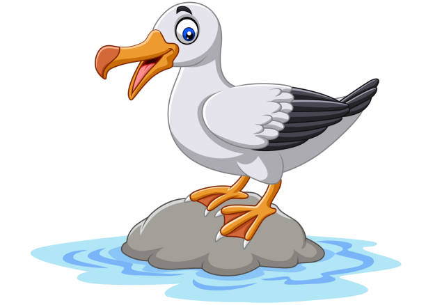 ilustrações de stock, clip art, desenhos animados e ícones de cartoon cute bird albatross standing on a rock - albatross