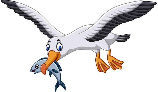 illustrazioni stock, clip art, cartoni animati e icone di tendenza di albatros cartone animato che mangia un pesce - albatross