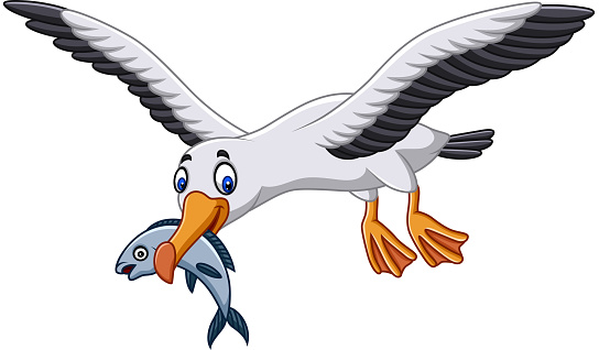Vector illustration of Cartoon albatross eating a fish