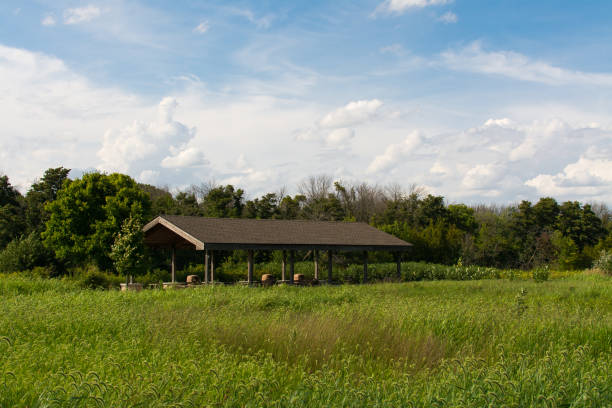 istock Shelter in the meadow 1125516807