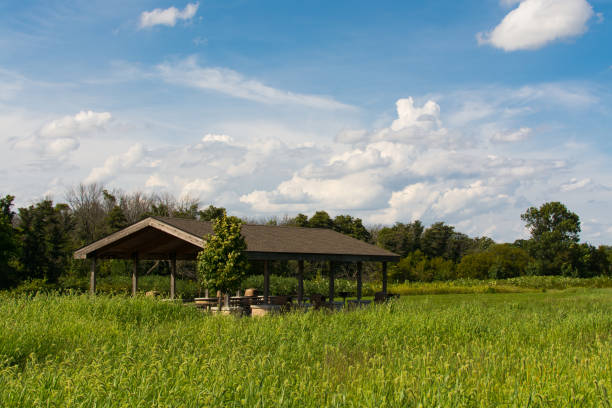 istock Shelter in the meadow 1125516870