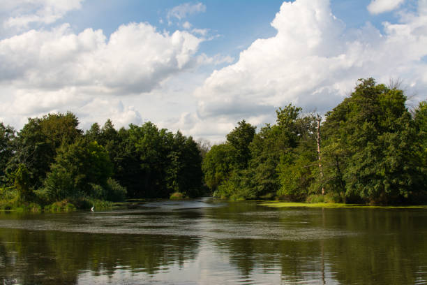 rzeka dupage w channahon - forest preserve zdjęcia i obrazy z banku zdjęć