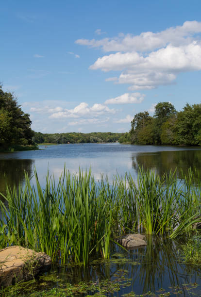 Dupage River in Channahon Blue skies and clouds over the DuPage River on a Summer morning. Channahon State Park, Illinois, USA illinois nature stock pictures, royalty-free photos & images