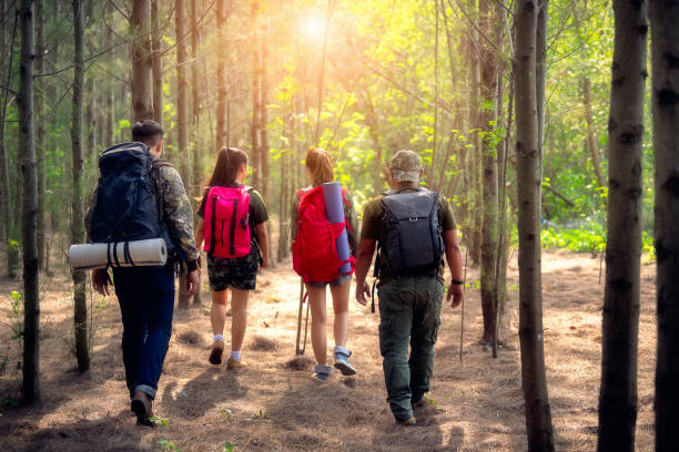 istock Hiking in the forest. 1125526750