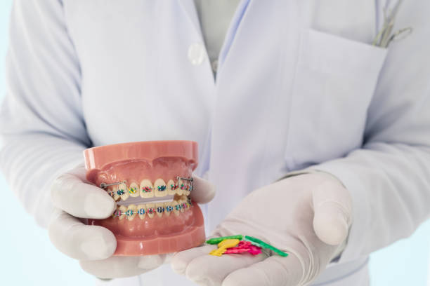 istock Dentist  and orthodontic model. 1125527483