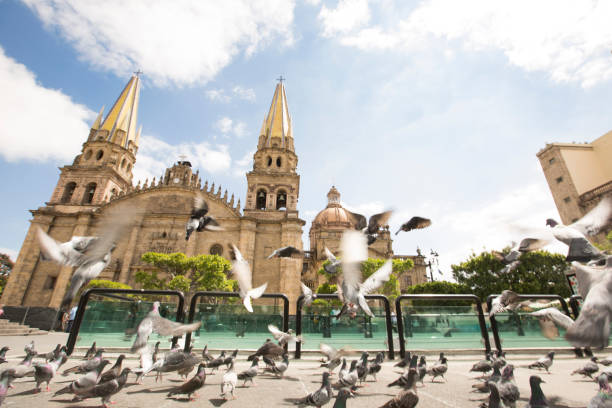 istock Cathedral of Guadalajara 1125527710