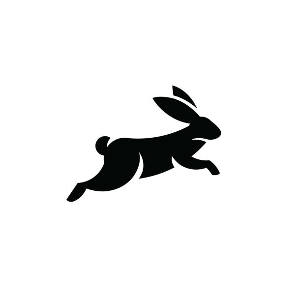 ilustrações de stock, clip art, desenhos animados e ícones de rabbit jumping icon - rabbit vector black composition