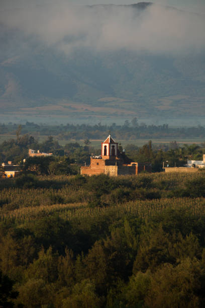 istock Old Church of Teuchitlan 1125529769