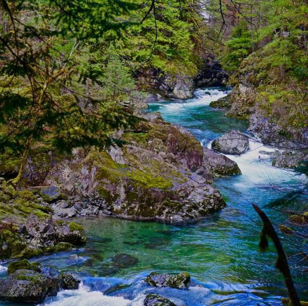 Little North Santiam River Narrows Northwest Oregon's Cascade Range Foothills.
Willamette National Forest/NW Zone.
Opal Creek Preserve.
Near Triple Falls. willamette national forest stock pictures, royalty-free photos & images