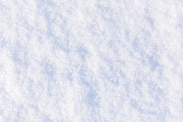Texture of the white fluffy snow for background