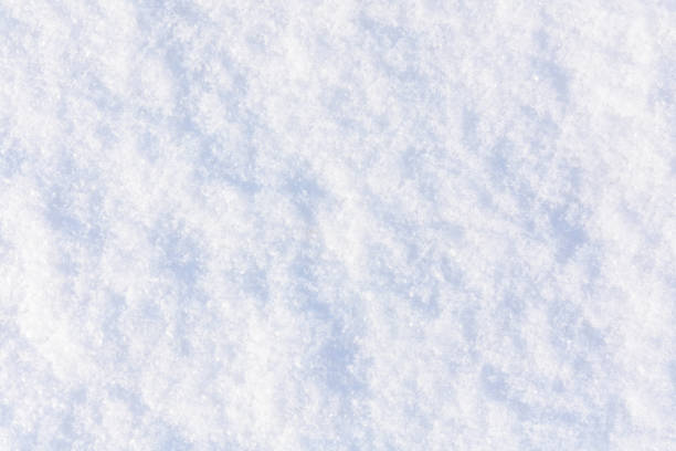 Texture of the white fluffy snow for background stock photo