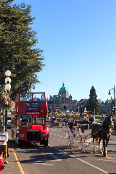 Austria, Vienna-November 18,2024: taking tourists on a tour with a carriage