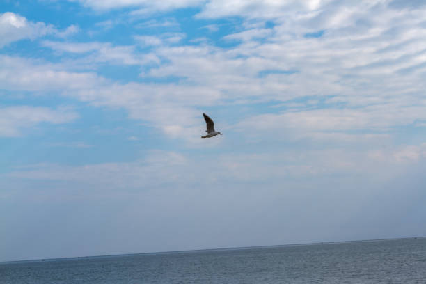 istock summer cloudy sky over the sea 1125542608