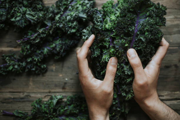 istock Closeup of fresh green kale 1125542859
