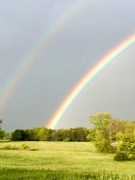 istock An extremely vibrant double rainbow shines above. 1125543587