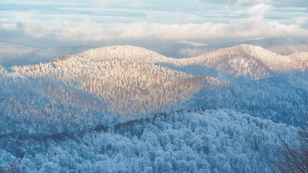 istock Forested mountain peaks covered with snow at sunrise. Bieszczady Mountains. Poland 1125546100