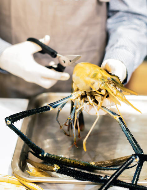 istock chef cooking seafood, Hand cutting raw black tiger prawn 1125547726
