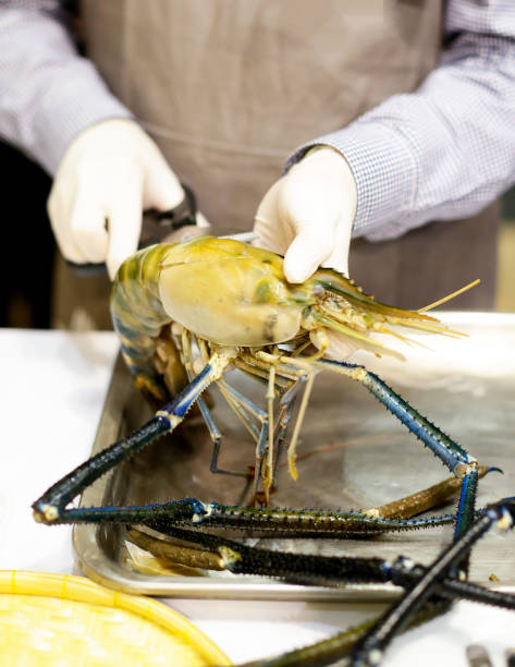istock chef cooking seafood, Hand cutting raw black tiger prawn 1125547731