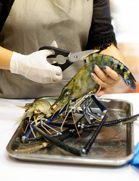istock chef cooking seafood, Hand cutting raw black tiger prawn 1125547732