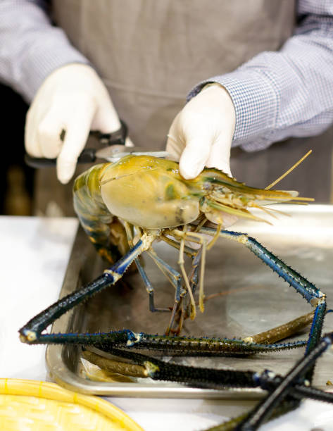 istock chef cooking seafood, Hand cutting raw black tiger prawn 1125547733